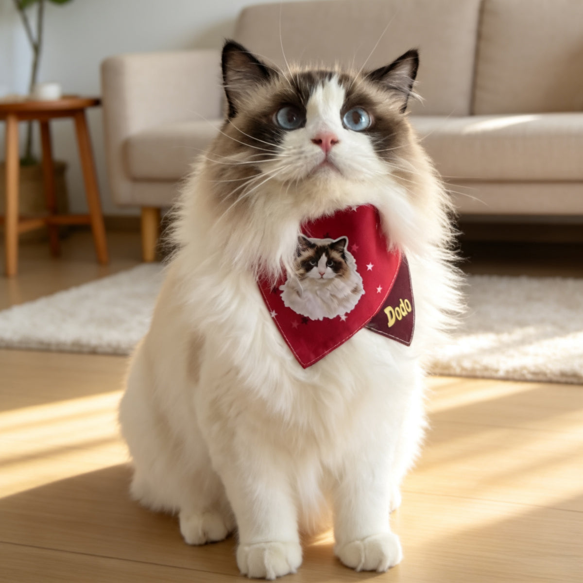 `Personalized custom cat bandana with photo and name, adjustable soft cotton pet scarf`