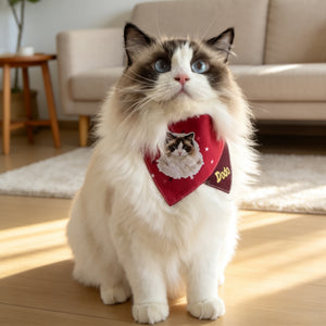 `Personalized custom cat bandana with photo and name, adjustable soft cotton pet scarf`