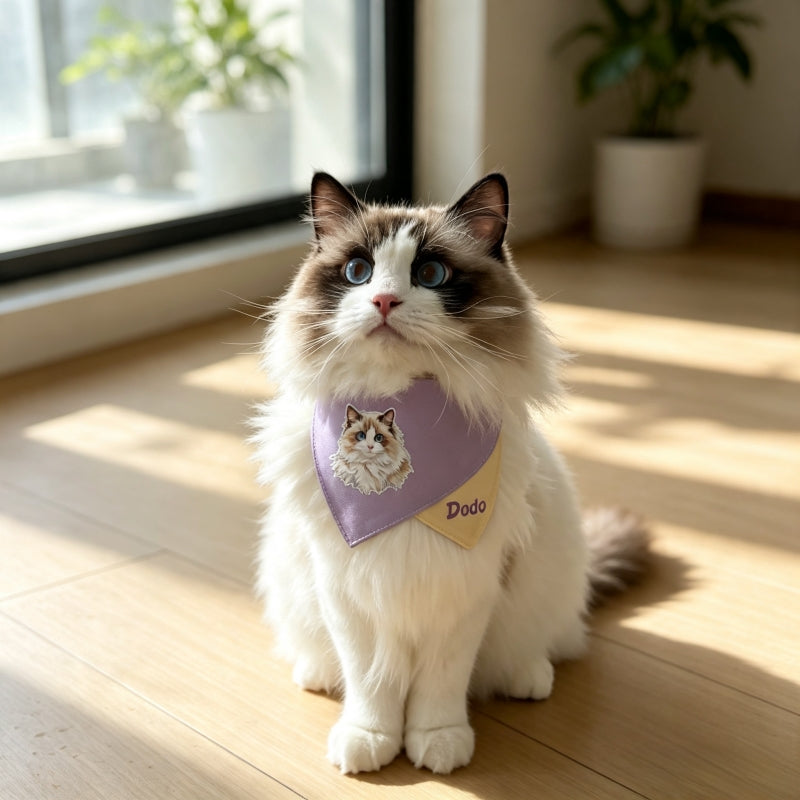 Ragdoll cat Dodo wearing custom photo printed pet bandana