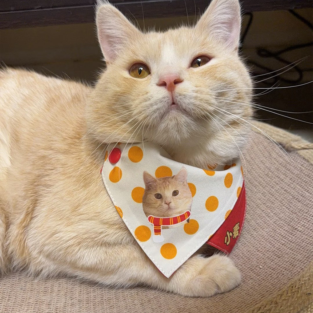 orange cat with custom photo printed cat bandana bib
