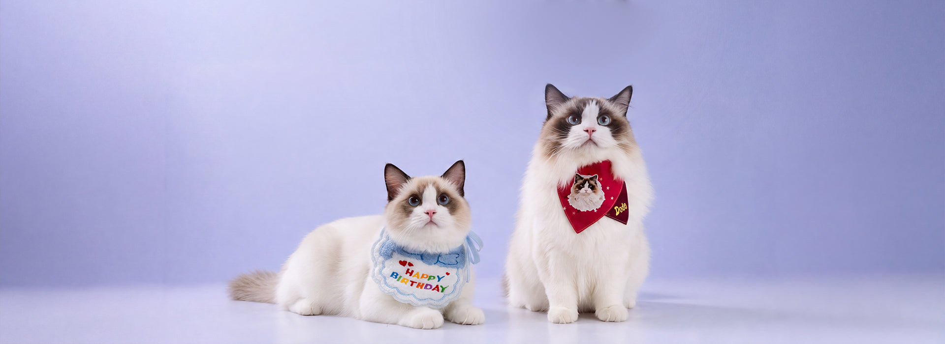 custom photo cat bandana bib for ragdoll cat small dog

